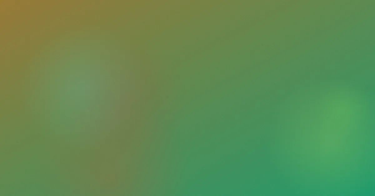 欧美韩国日本四味烤鸡饭复盘